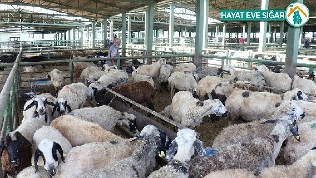 Malatya'da Kurban Bayramı tedbirleri