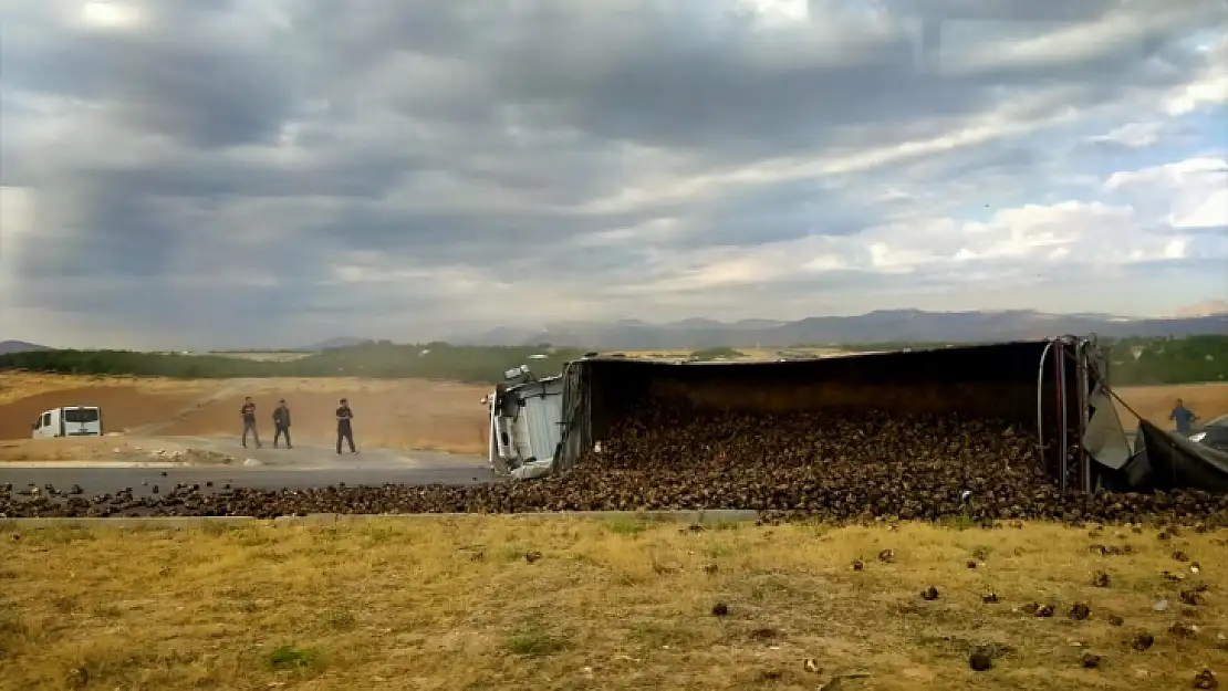 Malatya'da pancar yüklü kamyon devrildi 2 kişi yaralandı