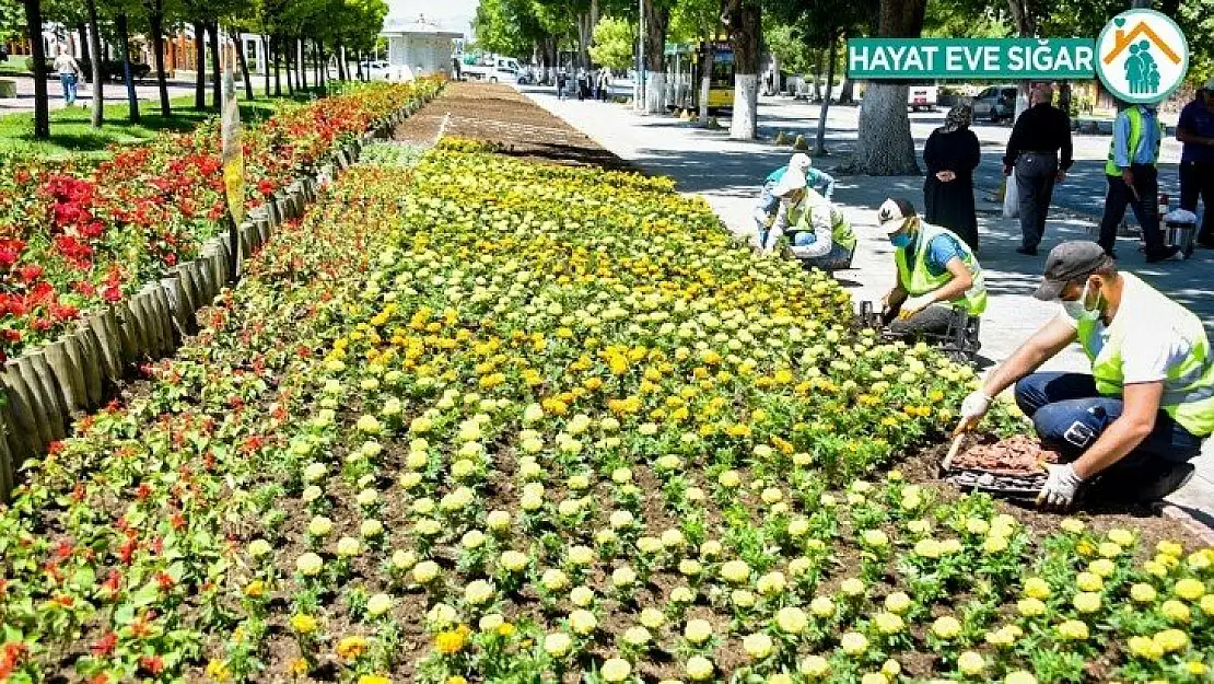 Malatya'da parklar çiçeklerle süsleniyor