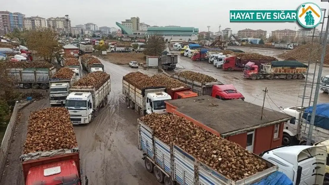 Malatya'da şeker üretiminin son günleri