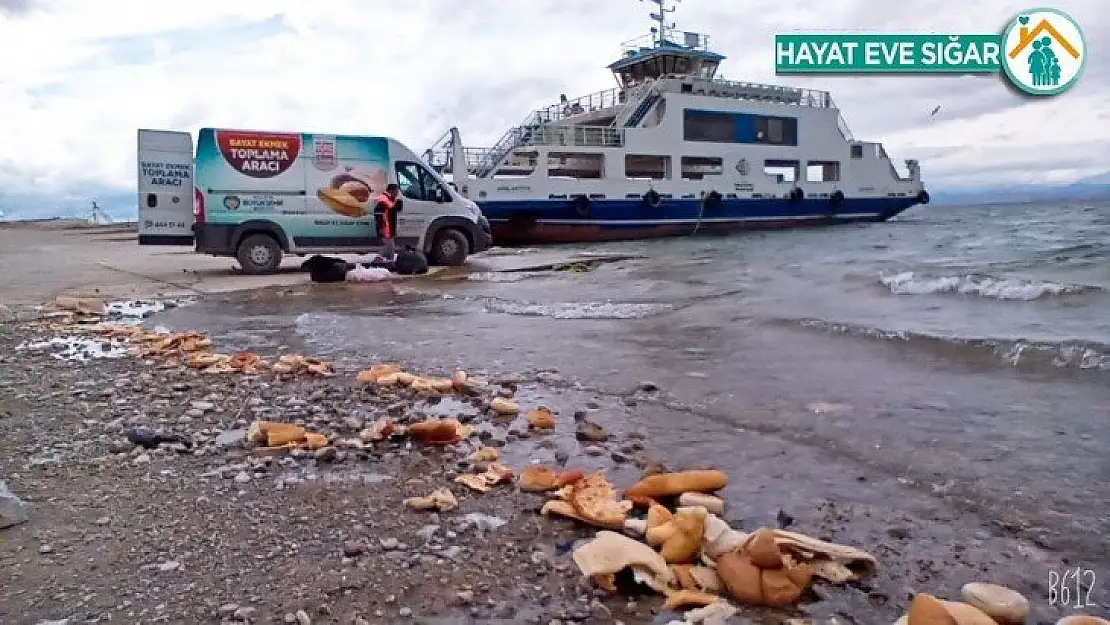 Malatya'da sokak hayvanları unutulmuyor