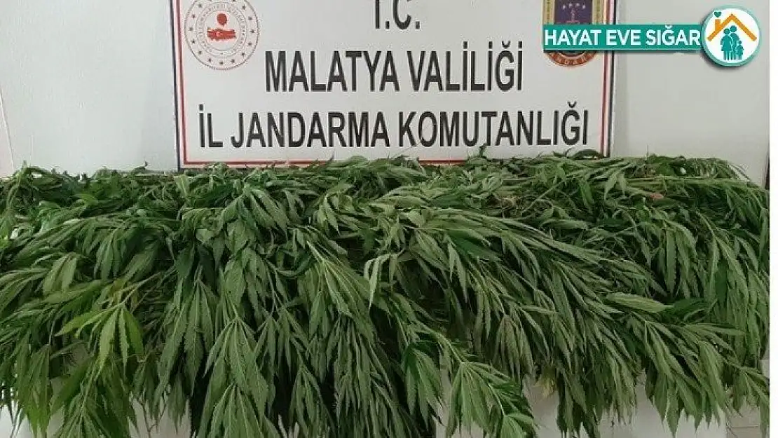 Malatya'da uyuşturucuya darbe