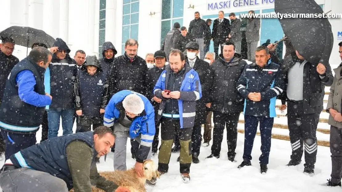 Malatya'da yoğun kar için şükür kurbanı