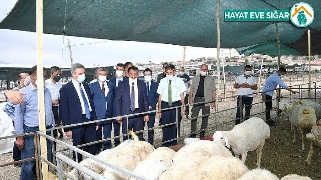 Malatya hayvan pazarı kesimhanelerinde monoray sistemine geçildi