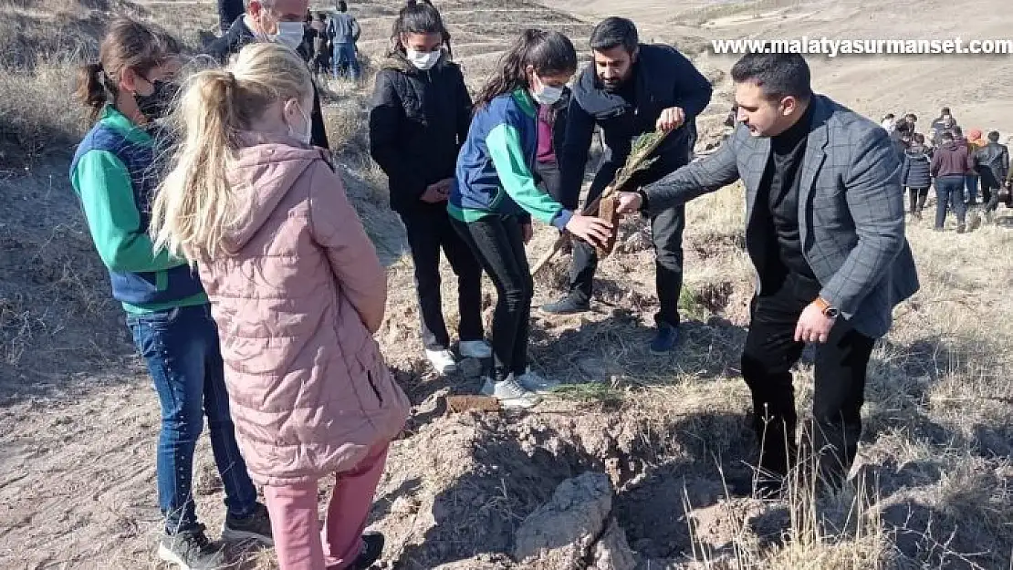 Malatya'nın ilçeleri de yeşilleniyor