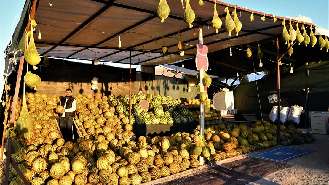 Malatya'nın Meşhur Narmikan Kavunu Tezgahlarda