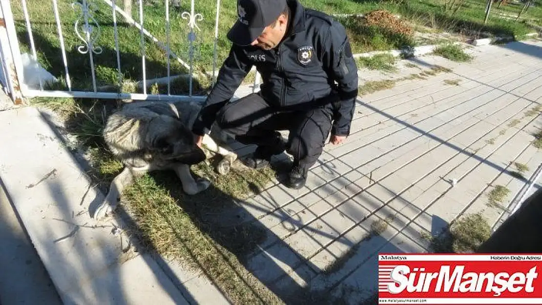 Malatya polisinden şefkat eli