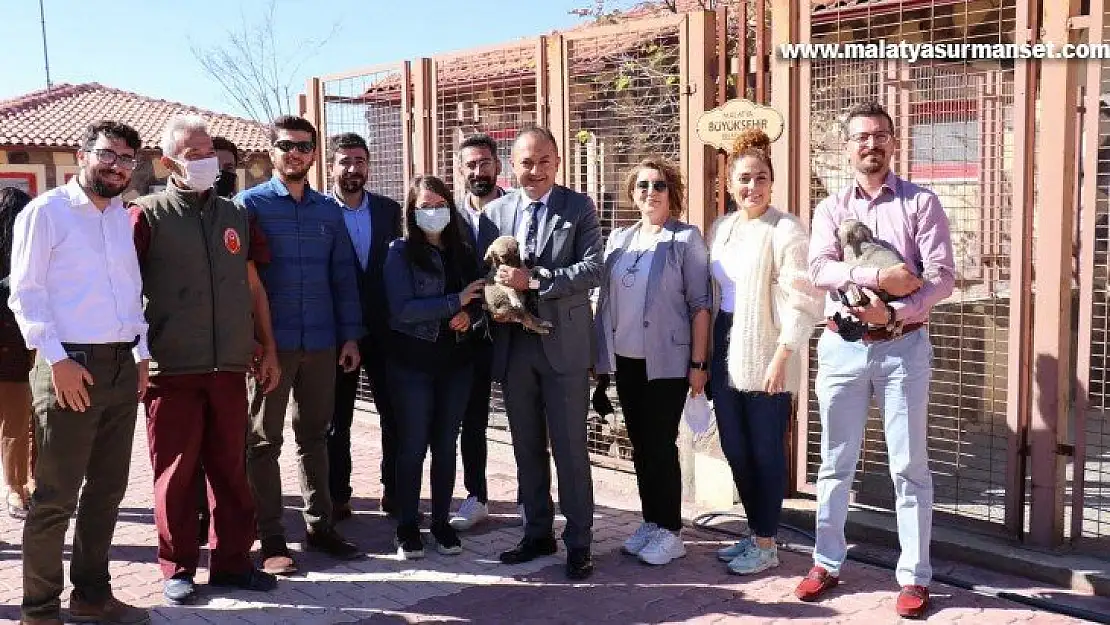 Malatya'ya tam teşekküllü hayvan hastanesi