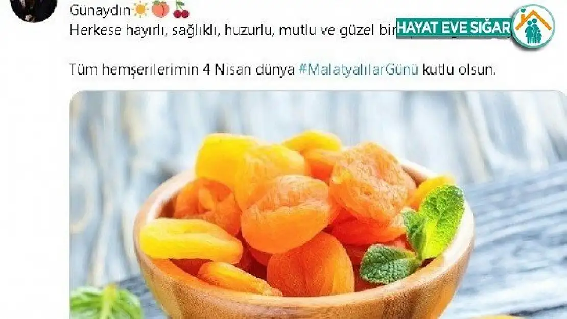 Malatyalılar günü kutlamaları sanalda