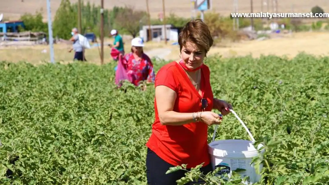 Marketlerdeki fahiş fiyata kızdı, tarlasını vatandaşlara açtı