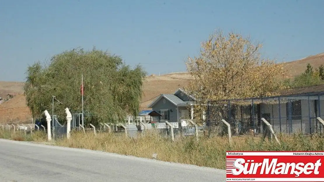 Mehmetçiğin bulduğu öksüz ayı Meyvan işte bu hayvan barınağında tutuluyor