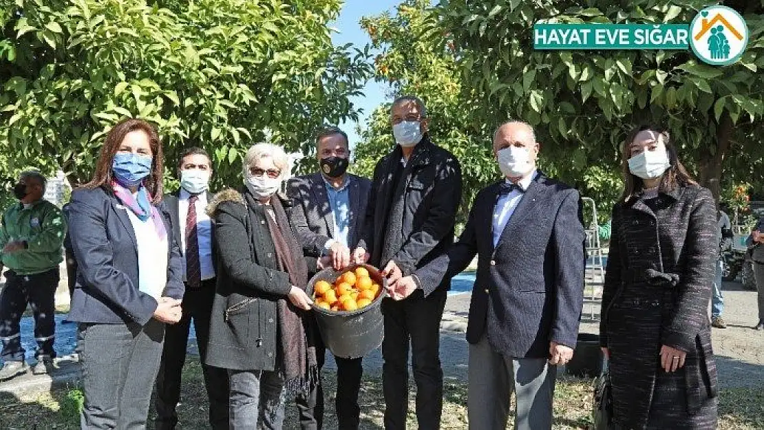 Mersin'de turunçlar salata sosu olarak ekonomiye kazandırılacak