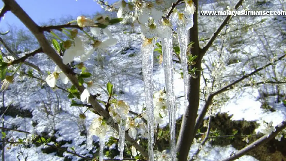 Meteorolojiden zirai don uyarısı