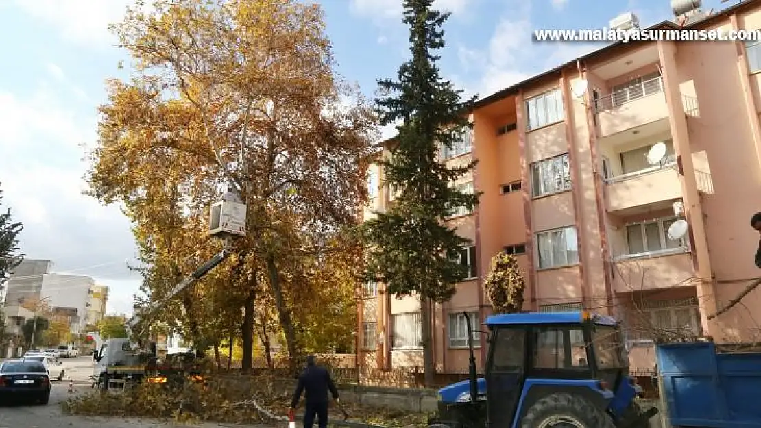 Mevsimsel budama çalışmaları sürüyor