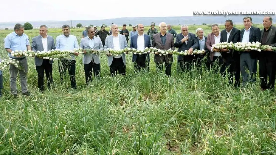 Milletvekili Erdoğan Çiftçiler Gününü tarlada kutladı