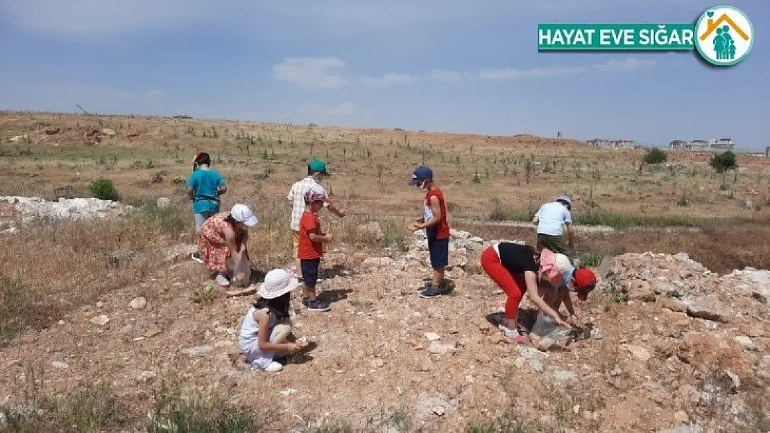 Minik öğrenciler çöp toplayıp, sokak hayvanlarını besledi