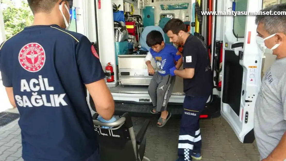 Muğla'da çocuğa köpek saldırısı