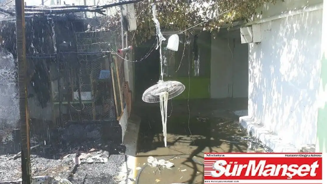 Mutfak tüpü bomba gibi patladı