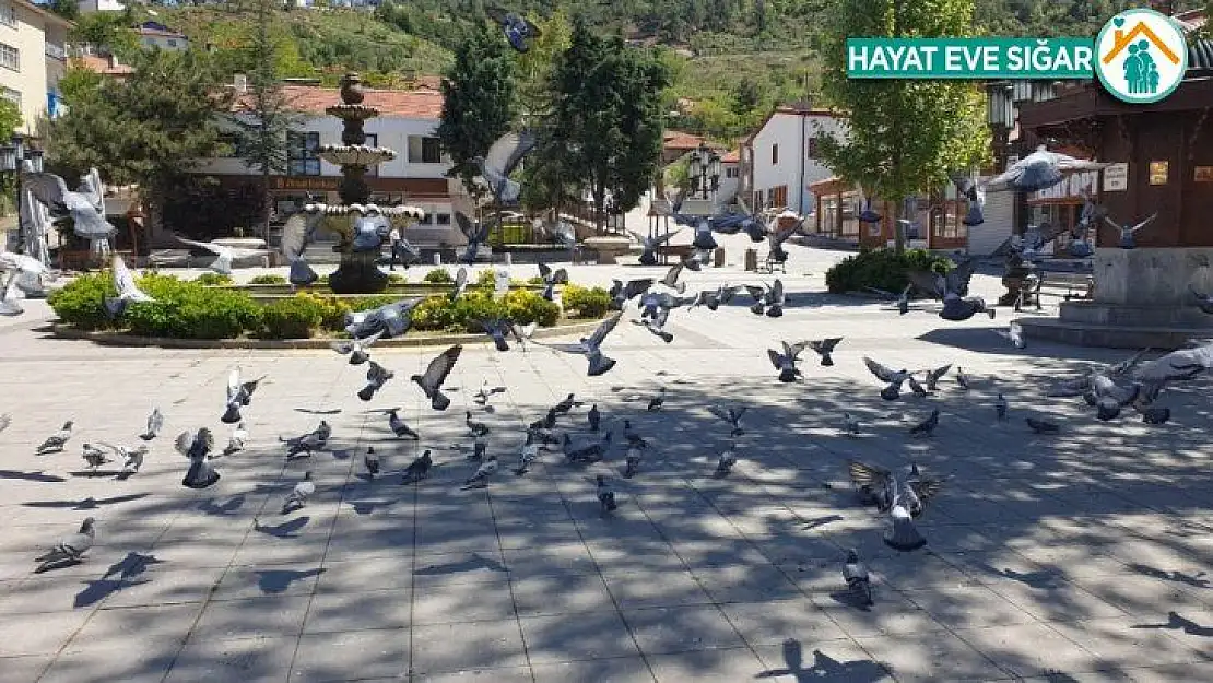 Nallıhan'da Cumhuriyet Meydanı güvercinlere kaldı