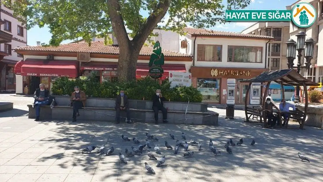 Nallıhan'da yaşlılar ATM'lere ve meydanlara koştu