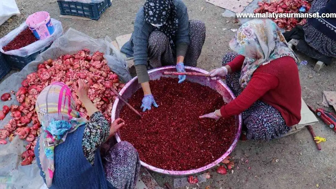 Nar ekşisi Malatyalı kadınların ek gelir kapısı oldu