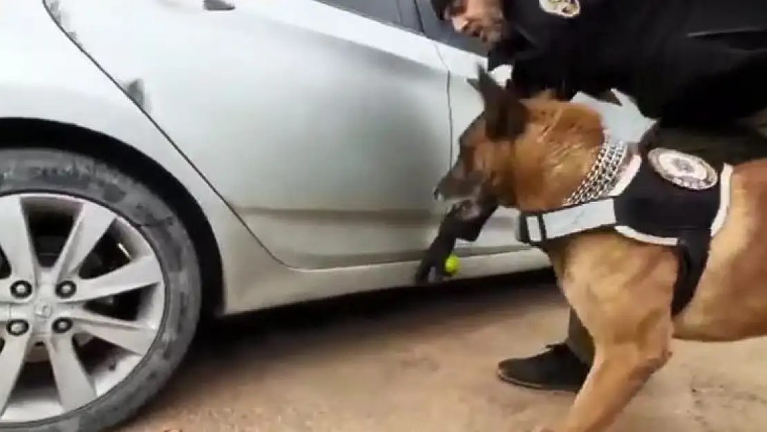 Narkotik köpeğinden kaçamayan otomobilin yakıt deposundan esrar fışkırdı