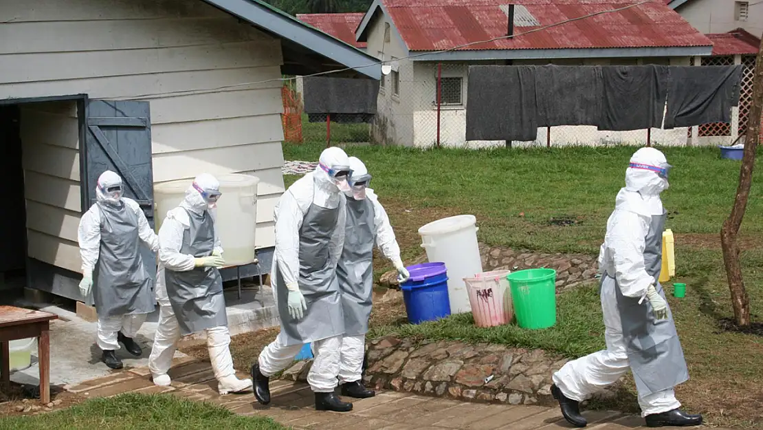 Nijerya'da Ebola salgını alarmı