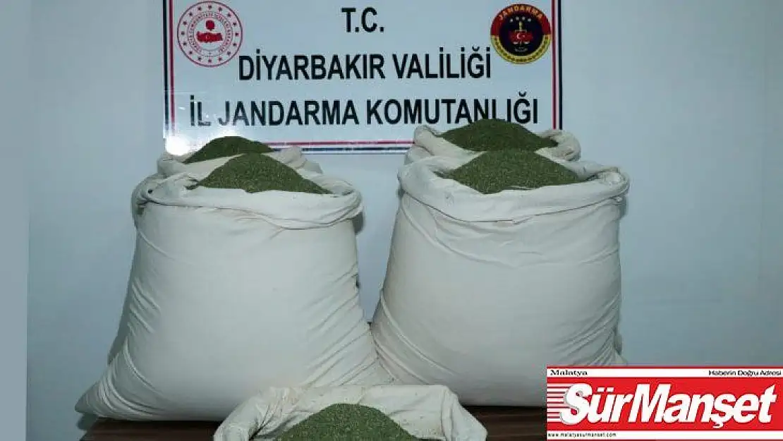 Öğrenci servisinde 176 kilogram esrar ele geçirildi