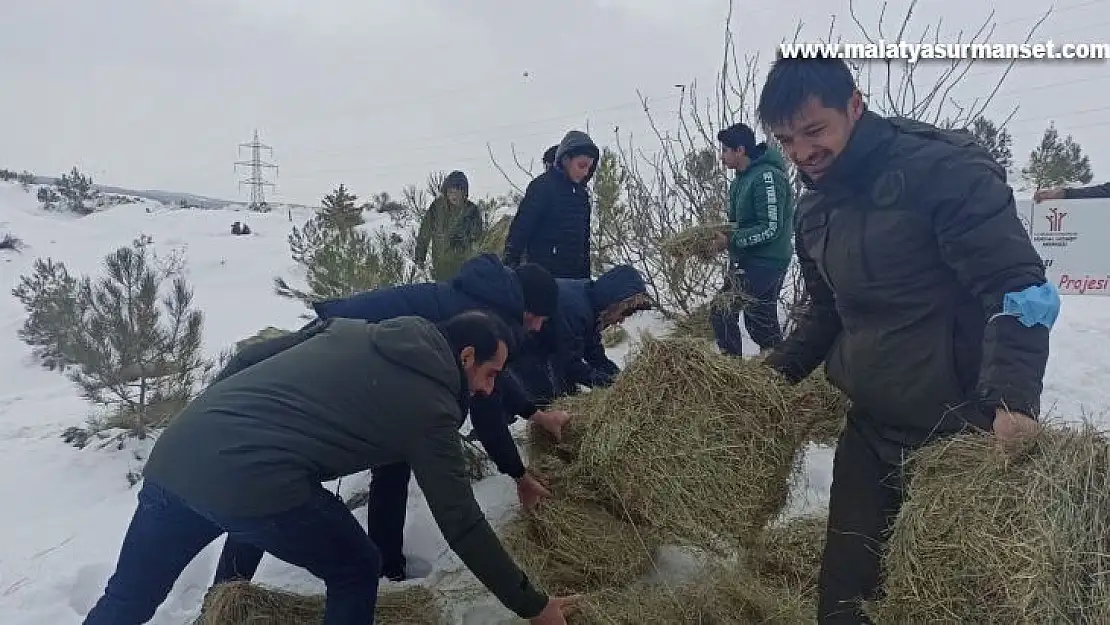 Öğrenciler yaban hayvanları için yem bıraktı