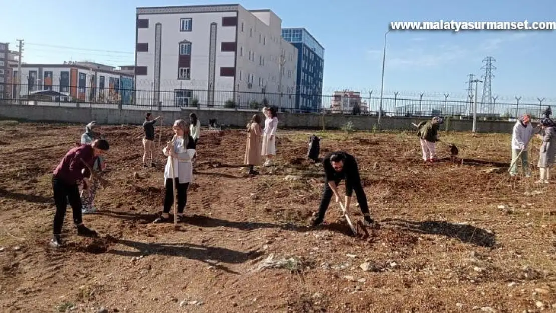 Öğrenciler yurt bahçesine fidan dikti