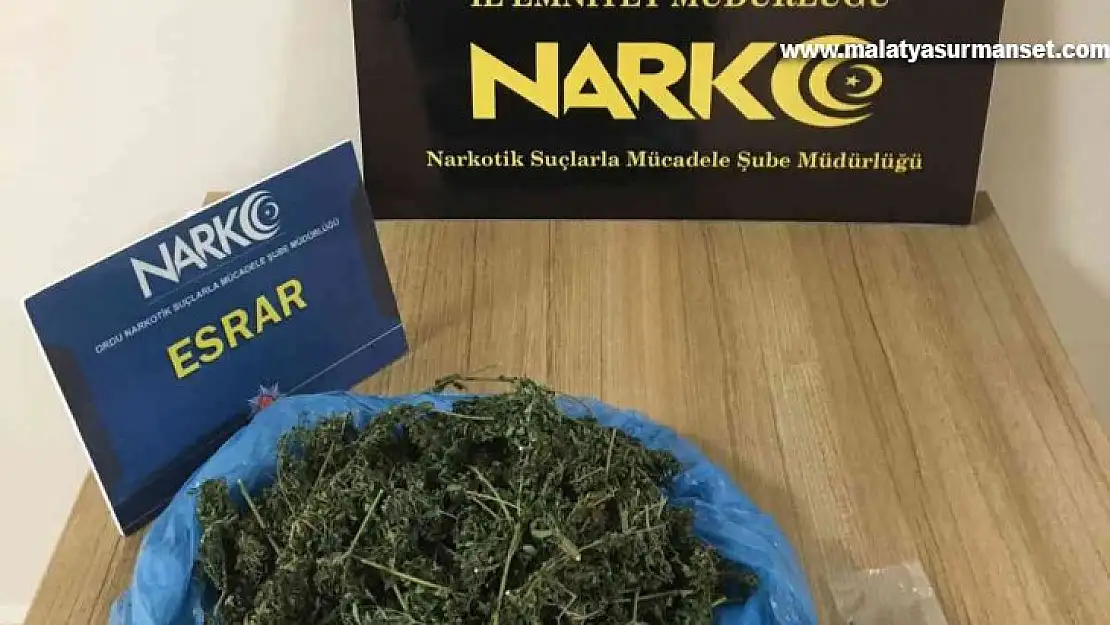 Ordu'da uyuşturucu operasyonlarında 1 tutuklama