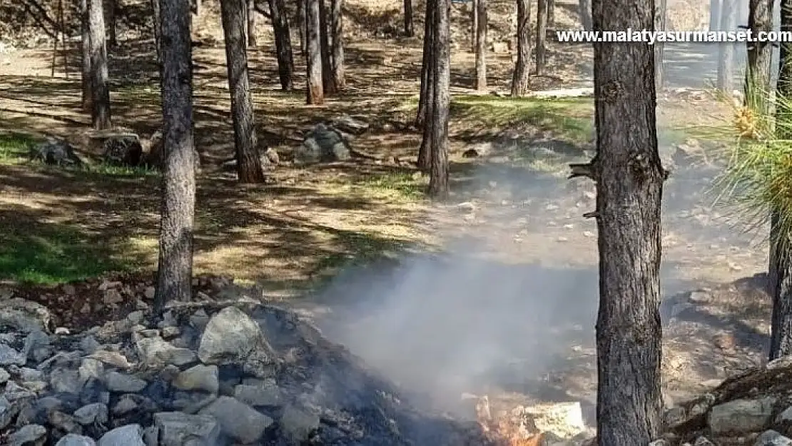 Ormanlık alanda çıkan yangın büyümeden söndürüldü