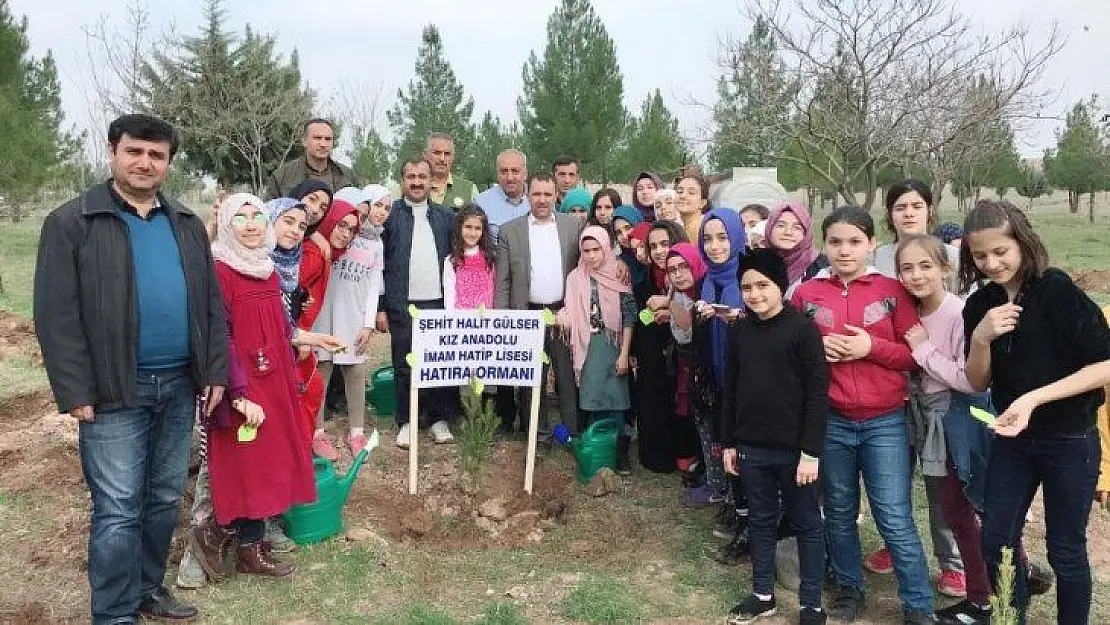 Ortaokul öğrencileri fidan dikti