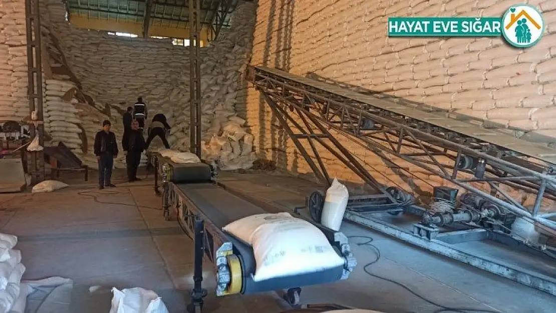 (Özel Haber) Malatya Şeker Fabrikası sezonu rekorla kapadı