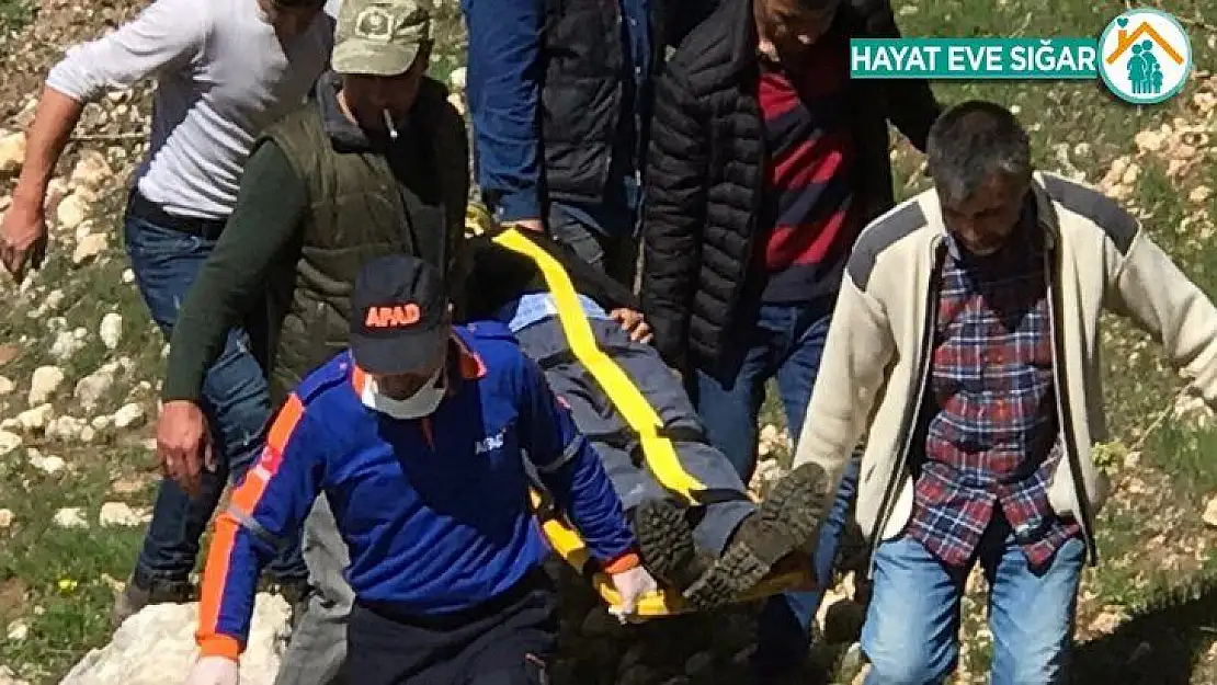 Pancar toplamak isterken kayalıklardan düştü