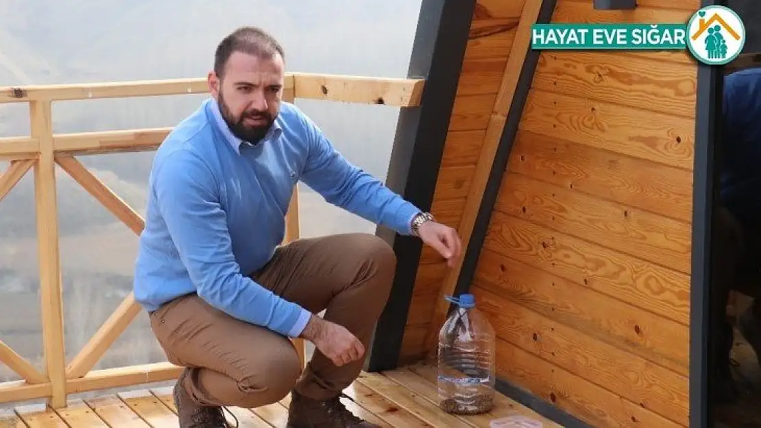 Pandemi sürecinde sokak hayvanları için öneriler