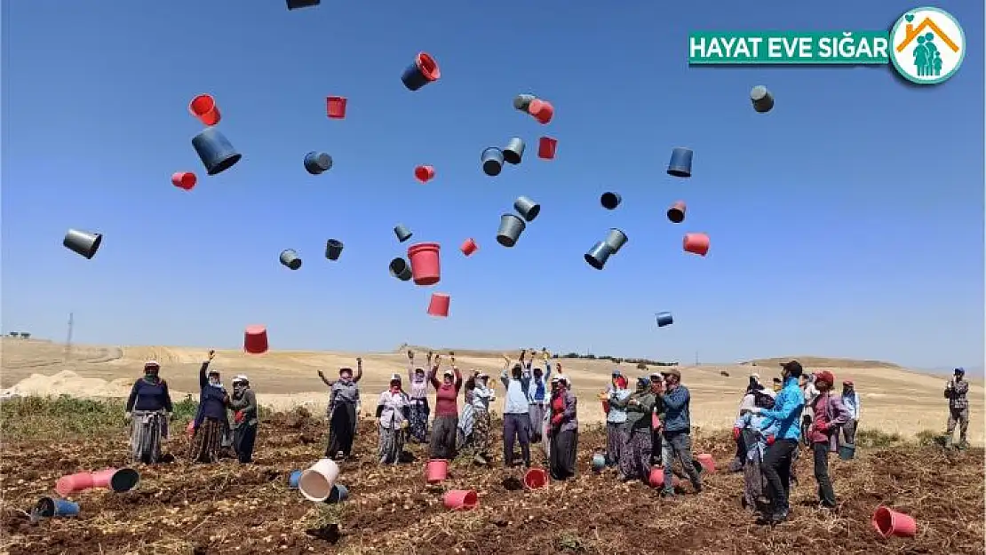 Patates hasadı kova atma töreni ile bitti