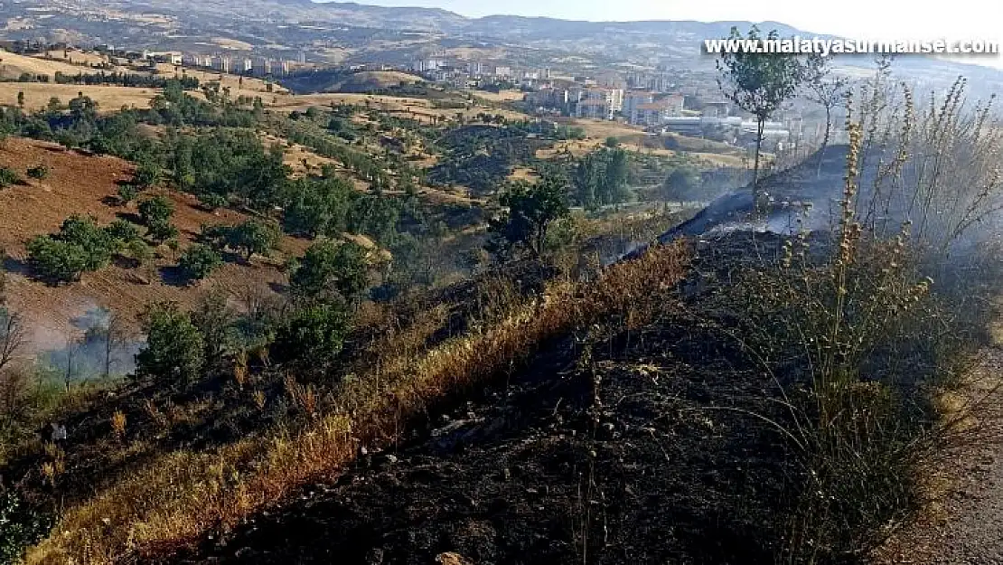 Piknikçiler yangına neden oldu