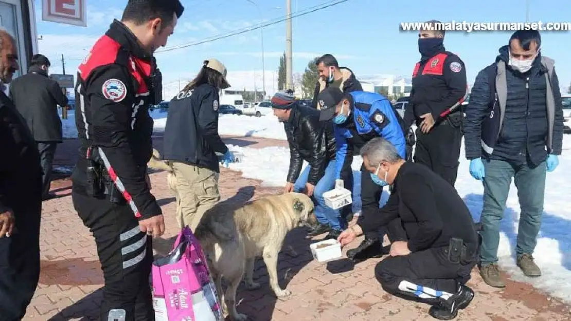 Polisler sokak hayvanlarını unutmadı