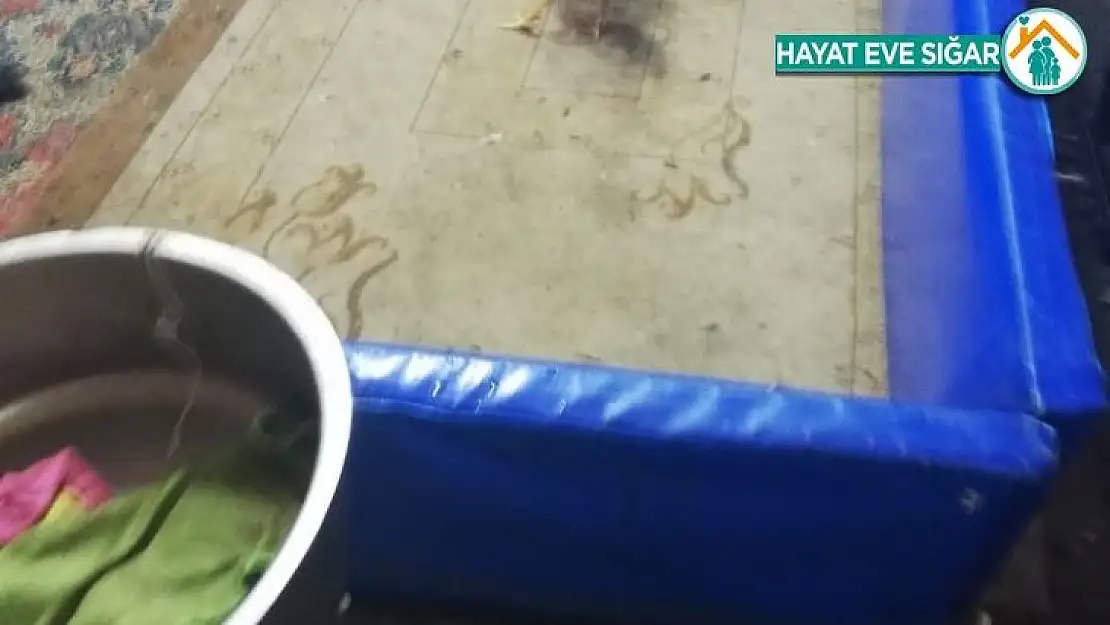 Polisten horoz dövüştürenlere baskın