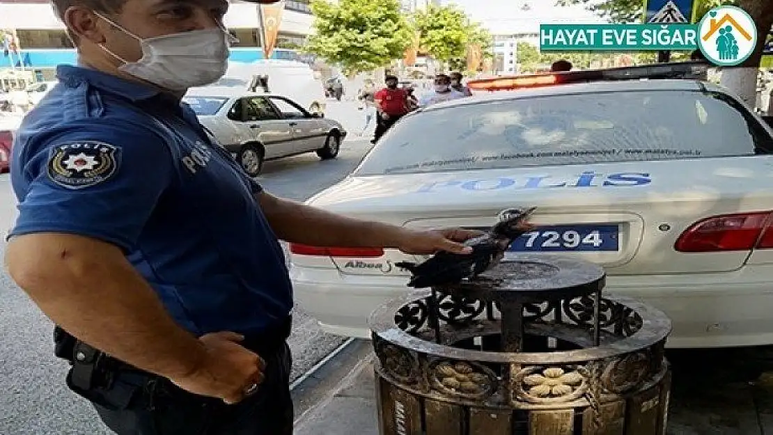 Polisten Kargaya şefkat eli