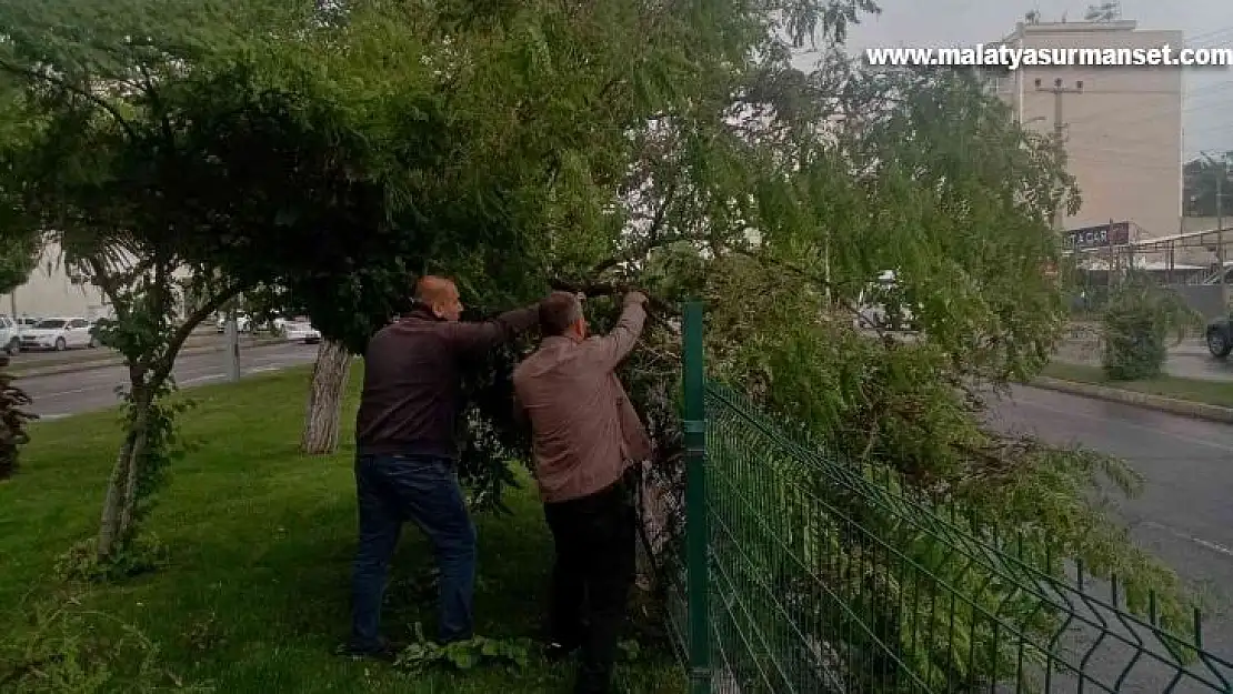 Rüzgar ve şiddetli yağış, ağaçlara zarar verdi