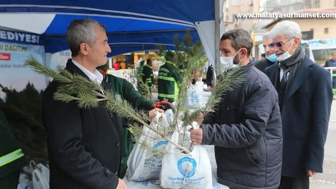 Şahinbey'de 150 bin çam fidanı dağıtıldı