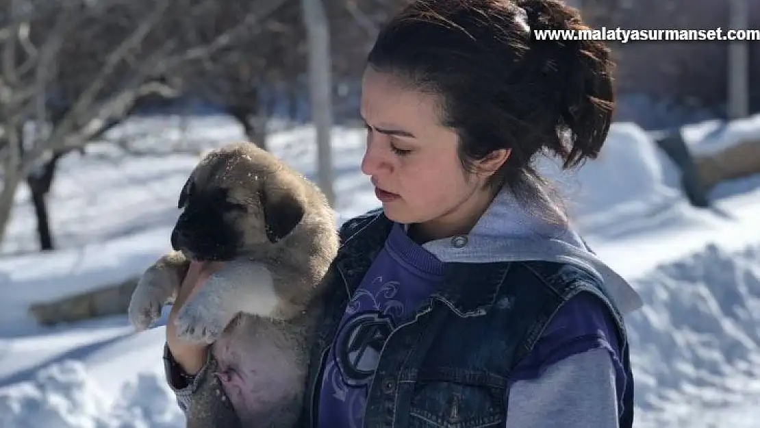 Sahipsiz köpeklere baba ile kızı sahip çıktı