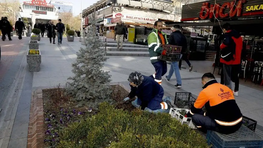 Sakarya'da 13 bin çiçek açtı