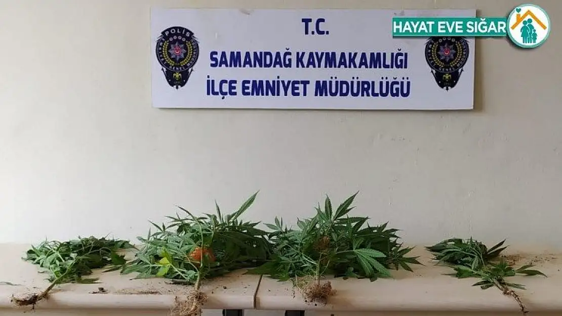 Samandağ'da uyuşturucu operasyonu: 2 gözaltı