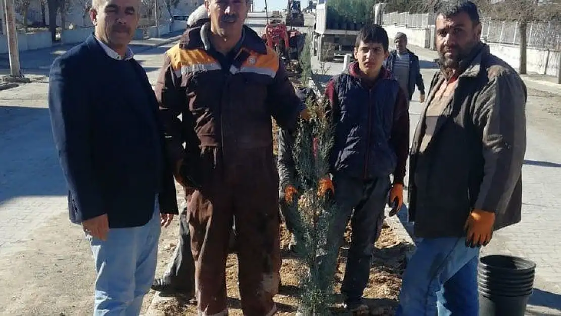 Samsat'ta refüjlerde ağaçlandırma çalışması