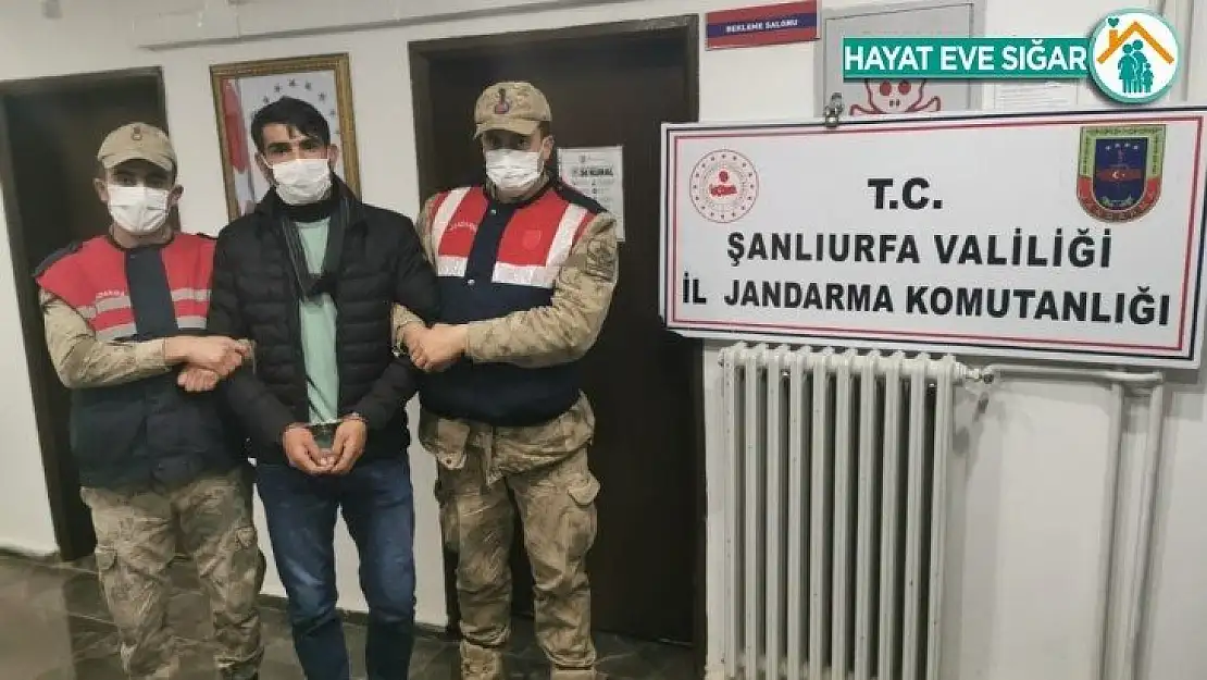 Şanlıurfa'da 15 yıldır aranan cinayet hükümlüsü yakalandı