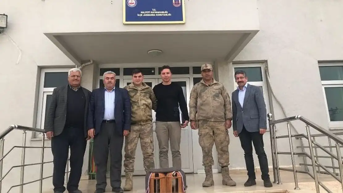 Şanlıurfa'da kaçak avcılara suçüstü