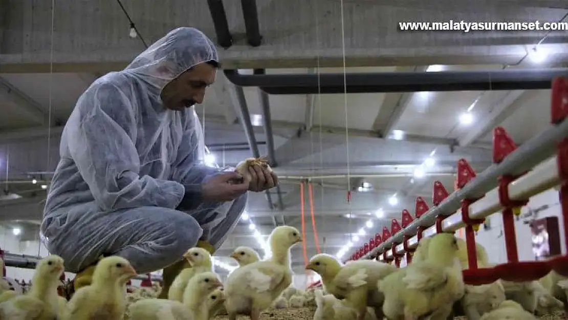 Şehir hayatından sıkıldı, devletten aldığı destek ile köye dönüp çiftlik kurdu